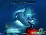 depth-dead-shark