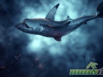 depth-shark-dead