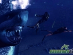 depth-shark-divers-combat