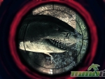 depth-shark-scope