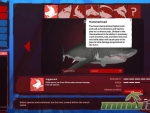 depth-sharks