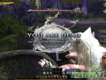 Divine-Souls-Noob-Dead