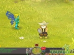 Dofus-friendly-player