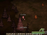 dont-starve-together-piney