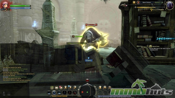 Dragon-Nest-environment