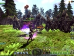 Dragon-Nest-barrier