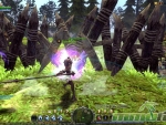 Dragon-Nest-fence