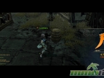 Dragon-Nest-ranking