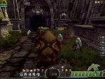 Dragon-Nest-surrounded