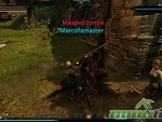 Dragons-Prophet-Kill