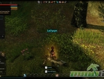 Dragons-Prophet-Loot-Fireworks