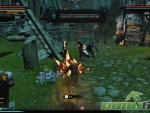 Dragons-Prophet-Loot-f