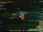 Dragons-Prophet-MMO-F2P