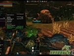 Dragons-Prophet-Reward-Green