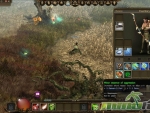 Drakensang-online-aggro