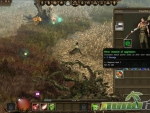 Drakensang-online-class