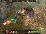 Drakensang-online-fields