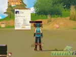 dream-of-mirror-online-stats