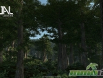dual-universe-forest
