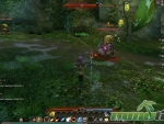 Echo-of-Soul-3-Dmg