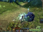 Echo-of-Soul-Agressive-BEar