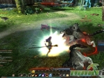 Echo-of-Soul-Battle-2