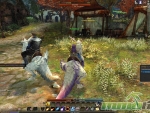 Echo-of-Soul-Chat