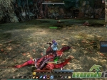 Echo-of-Soul-Loot