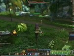 Echo-of-Soul-PvP-Duel