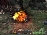 Echo-of-Soul-Spells