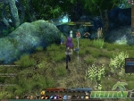Echo-of-Soul-Staff