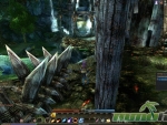 Echo-of-Soul-Tree