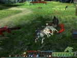 Echo-of-Soul-fighting-Wolf