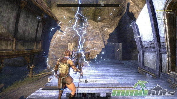 Elder-Scrolls-Online-block