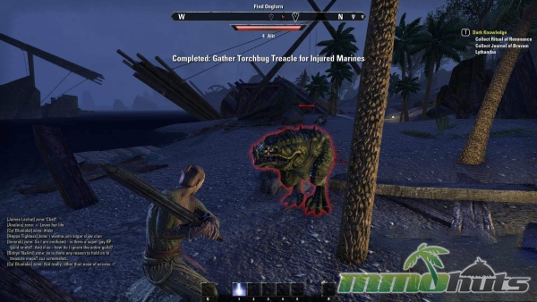 Elder-Scrolls-Online-chat