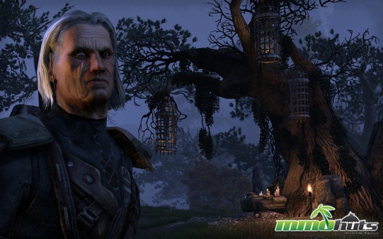 ElderScrollsOnline15.jpg