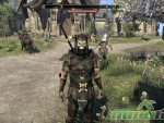 Elder-Scrolls-Online-armor