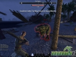 Elder-Scrolls-Online-chat