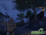 Elder-Scrolls-Online-running