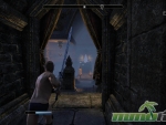 Elder-Scrolls-Online-two-handed