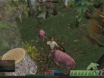 eldevin-hunting-pigs
