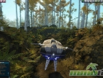 Entropia-Universe-forest