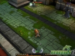 Erebus2-Squirrel