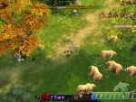 eternal-chaos-bears