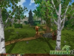 eternal-lands-bear