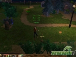eternal-lands-beaver