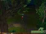 eternal-lands-categories-emotes