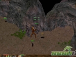 eternal-lands-fighting-rat