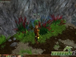 eternal-lands-harvesting-flowers
