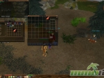 eternal-lands-meat